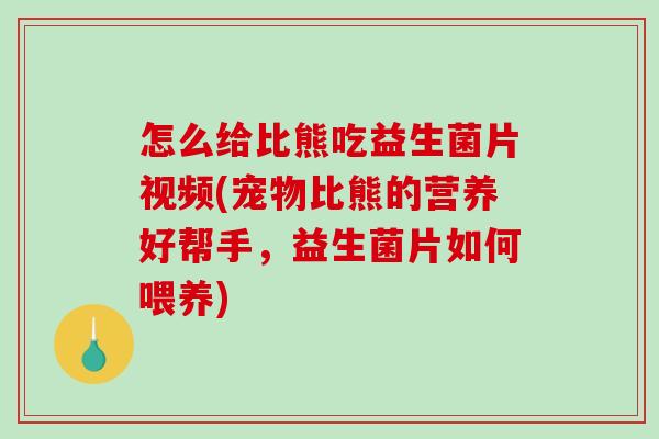 怎么给比熊吃益生菌片视频(宠物比熊的营养好帮手，益生菌片如何喂养)