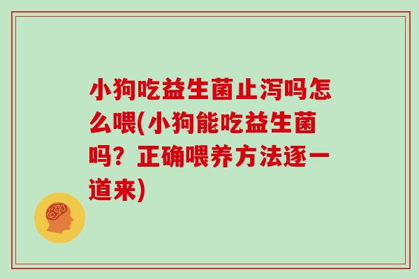 小狗吃益生菌止泻吗怎么喂(小狗能吃益生菌吗？正确喂养方法逐一道来)