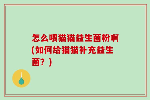 怎么喂猫猫益生菌粉啊(如何给猫猫补充益生菌？)