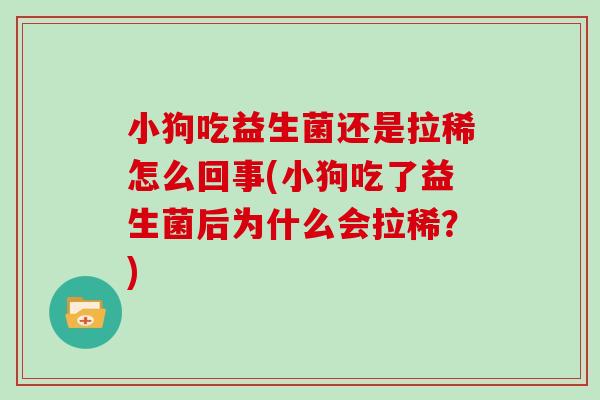 小狗吃益生菌还是拉稀怎么回事(小狗吃了益生菌后为什么会拉稀？)