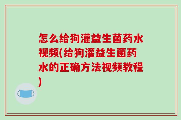 怎么给狗灌益生菌药水视频(给狗灌益生菌药水的正确方法视频教程)