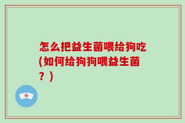 怎么把益生菌喂给狗吃(如何给狗狗喂益生菌？)
