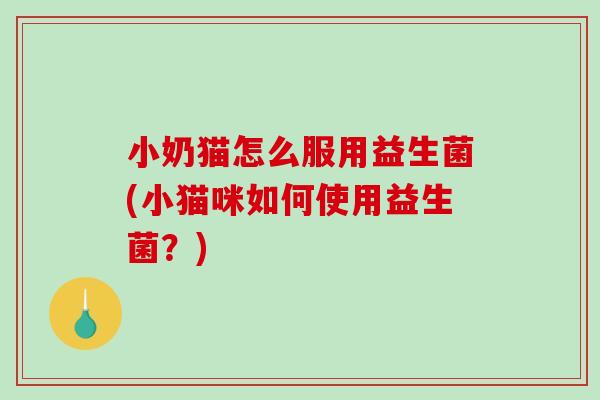 小奶猫怎么服用益生菌(小猫咪如何使用益生菌？)