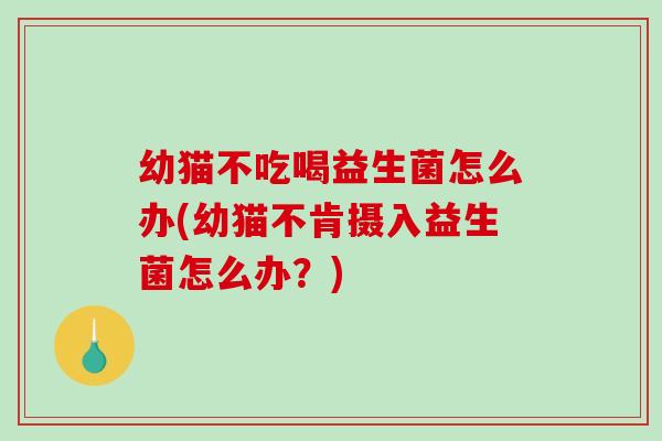 幼猫不吃喝益生菌怎么办(幼猫不肯摄入益生菌怎么办？)