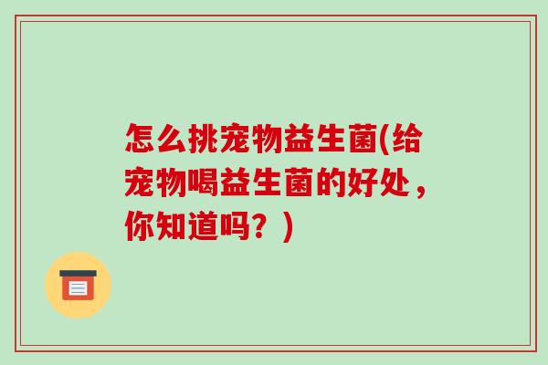 怎么挑宠物益生菌(给宠物喝益生菌的好处，你知道吗？)