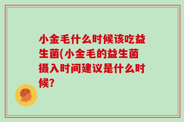 小金毛什么时候该吃益生菌(小金毛的益生菌摄入时间建议是什么时候？