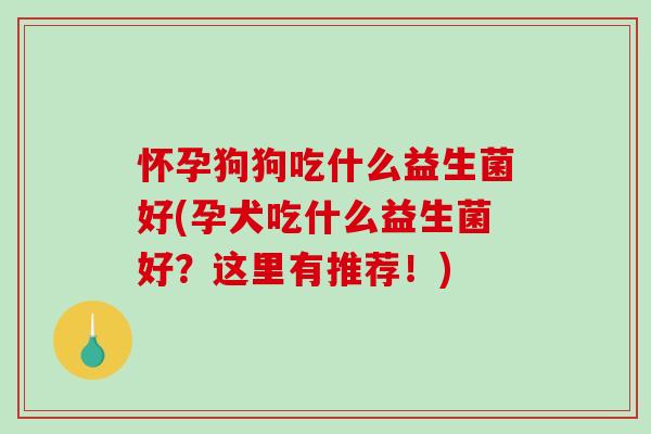 怀孕狗狗吃什么益生菌好(孕犬吃什么益生菌好？这里有推荐！)