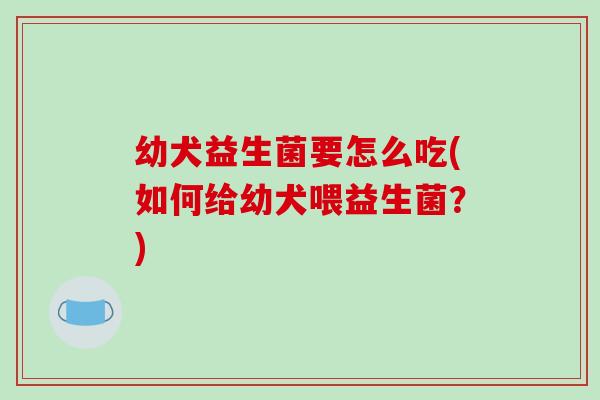 幼犬益生菌要怎么吃(如何给幼犬喂益生菌？)