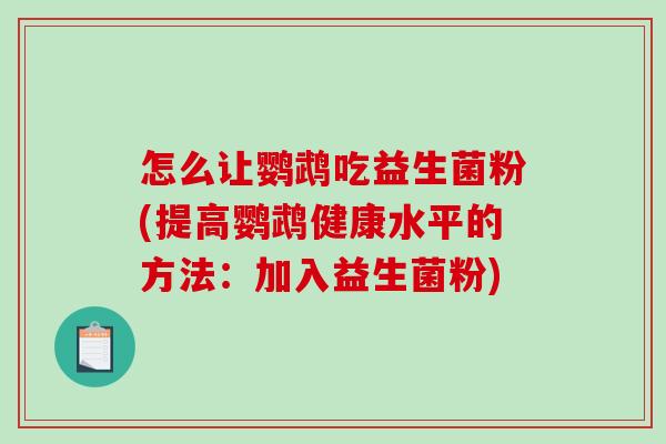 怎么让鹦鹉吃益生菌粉(提高鹦鹉健康水平的方法：加入益生菌粉)