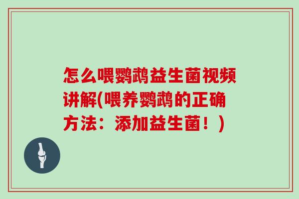 怎么喂鹦鹉益生菌视频讲解(喂养鹦鹉的正确方法：添加益生菌！)