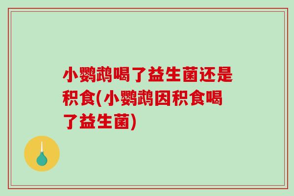小鹦鹉喝了益生菌还是积食(小鹦鹉因积食喝了益生菌)