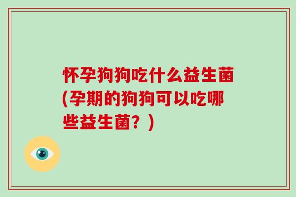 怀孕狗狗吃什么益生菌(孕期的狗狗可以吃哪些益生菌？)