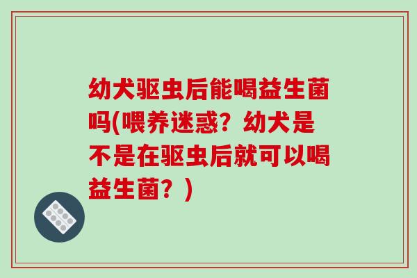 幼犬驱虫后能喝益生菌吗(喂养迷惑？幼犬是不是在驱虫后就可以喝益生菌？)