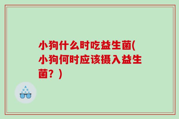 小狗什么时吃益生菌(小狗何时应该摄入益生菌？)