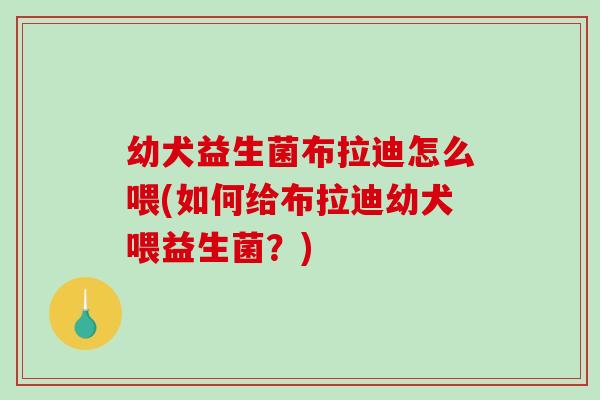幼犬益生菌布拉迪怎么喂(如何给布拉迪幼犬喂益生菌？)