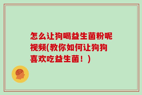 怎么让狗喝益生菌粉呢视频(教你如何让狗狗喜欢吃益生菌！)
