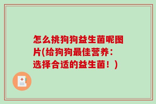 怎么挑狗狗益生菌呢图片(给狗狗佳营养:选择合适的益生菌!) 怎么挑狗狗益生菌呢图片(给狗狗佳营养:选择合适的益生菌!)