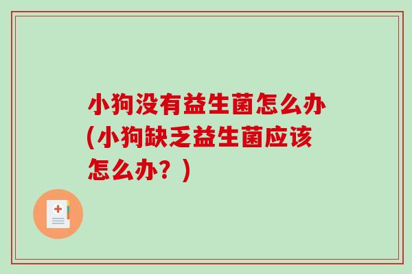 小狗没有益生菌怎么办(小狗缺乏益生菌应该怎么办？)