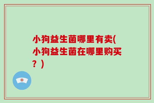 小狗益生菌哪里有卖(小狗益生菌在哪里购买？)