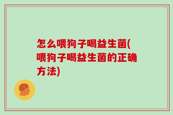 怎么喂狗子喝益生菌(喂狗子喝益生菌的正确方法)