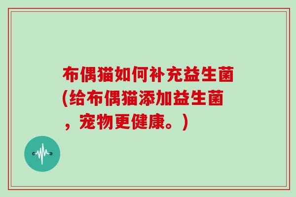 布偶猫如何补充益生菌(给布偶猫添加益生菌，宠物更健康。)