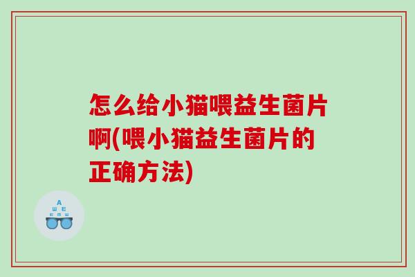 怎么给小猫喂益生菌片啊(喂小猫益生菌片的正确方法)