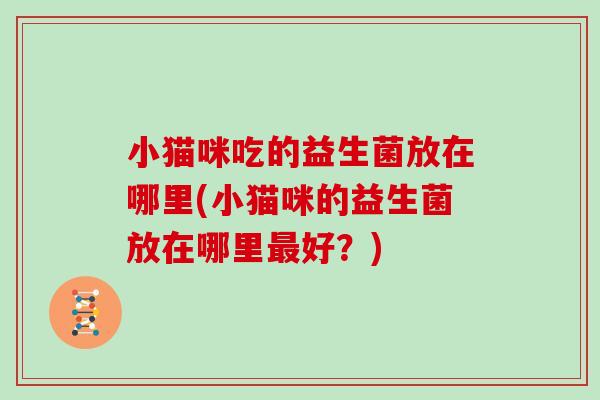 小猫咪吃的益生菌放在哪里(小猫咪的益生菌放在哪里最好？)