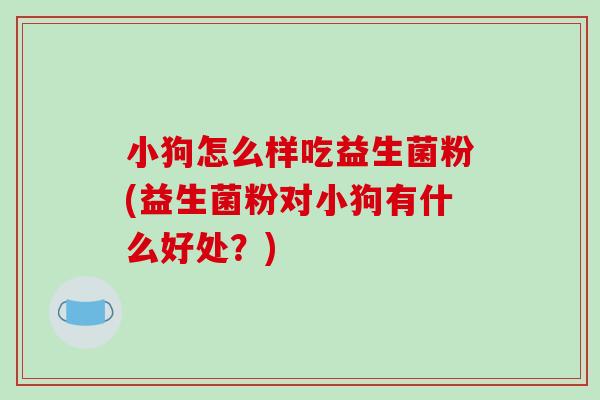 小狗怎么样吃益生菌粉(益生菌粉对小狗有什么好处？)