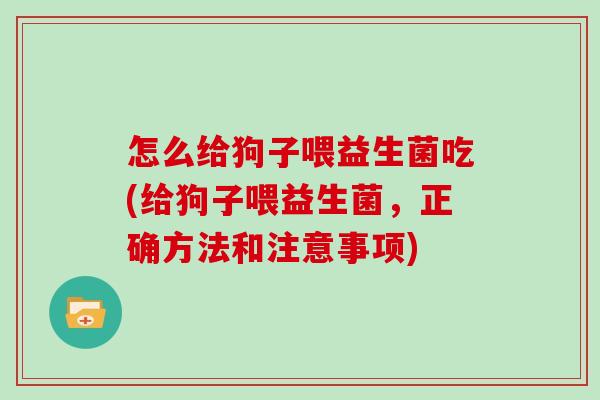 怎么给狗子喂益生菌吃(给狗子喂益生菌,正确方法和注意事项) 怎么给狗子喂益生菌吃(给狗子喂益生菌,正确方法和注意事项)