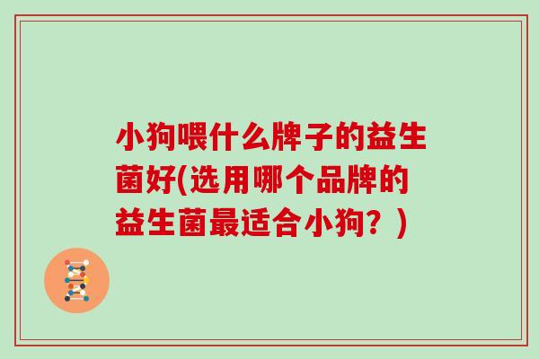 小狗喂什么牌子的益生菌好(选用哪个品牌的益生菌适合小狗？)