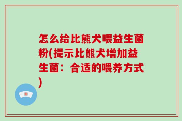 怎么给比熊犬喂益生菌粉(提示比熊犬增加益生菌:合适的喂养方式) 怎么给比熊犬喂益生菌粉(提示比熊犬增加益生菌:合适的喂养方式)