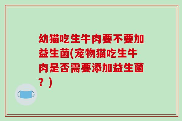 幼猫吃生牛肉要不要加益生菌(宠物猫吃生牛肉是否需要添加益生菌？)