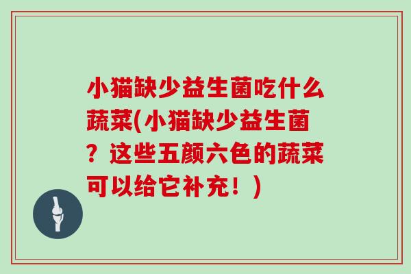 小猫缺少益生菌吃什么蔬菜(小猫缺少益生菌？这些五颜六色的蔬菜可以给它补充！)
