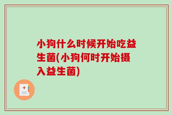 小狗什么时候开始吃益生菌(小狗何时开始摄入益生菌)