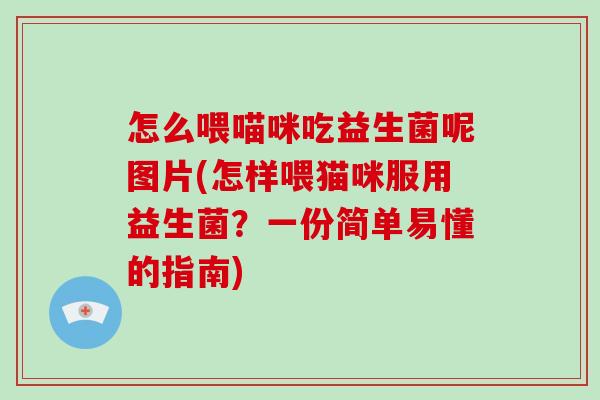 怎么喂喵咪吃益生菌呢图片(怎样喂猫咪服用益生菌？一份简单易懂的指南)