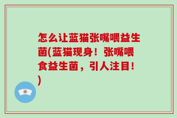 怎么让蓝猫张嘴喂益生菌(蓝猫现身!张嘴喂食益生菌,引人注目!) 怎么让蓝猫张嘴喂益生菌(蓝猫现身!张嘴喂食益生菌,引人注目!)