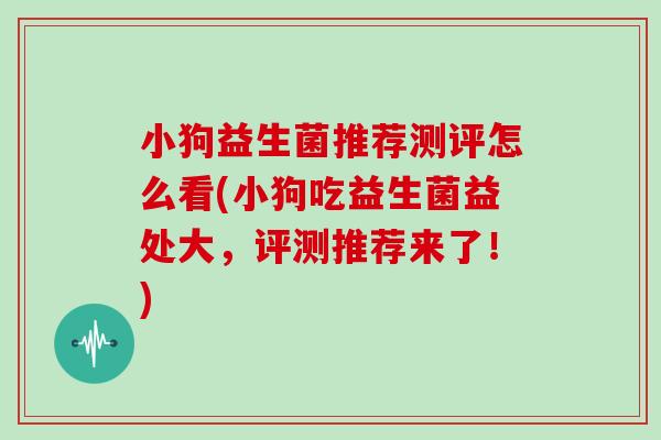 小狗益生菌推荐测评怎么看(小狗吃益生菌益处大，评测推荐来了！)