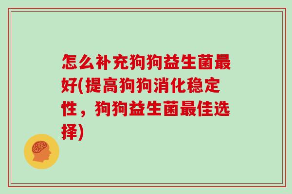 怎么补充狗狗益生菌最好(提高狗狗消化稳定性，狗狗益生菌最佳选择)