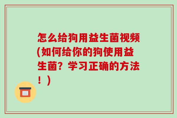 怎么给狗用益生菌视频(如何给你的狗使用益生菌？学习正确的方法！)