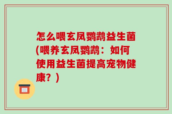 怎么喂玄凤鹦鹉益生菌(喂养玄凤鹦鹉：如何使用益生菌提高宠物健康？)