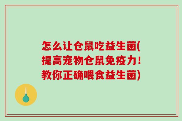 怎么让仓鼠吃益生菌(提高宠物仓鼠免疫力！教你正确喂食益生菌)