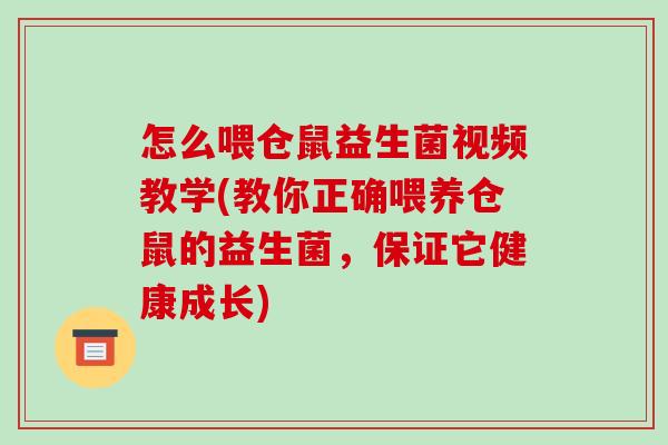 怎么喂仓鼠益生菌视频教学(教你正确喂养仓鼠的益生菌，保证它健康成长)