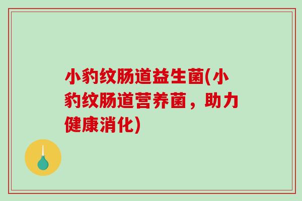 小豹纹肠道益生菌(小豹纹肠道营养菌,助力健康消化) 小豹纹肠道益生菌(小豹纹肠道营养菌,助力健康消化)