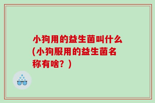 小狗用的益生菌叫什么(小狗服用的益生菌名称有啥？)