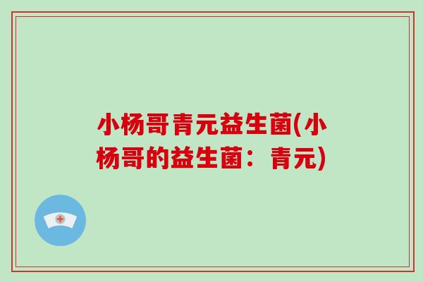 小杨哥青元益生菌(小杨哥的益生菌：青元)