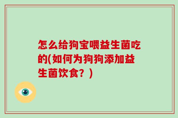 怎么给狗宝喂益生菌吃的(如何为狗狗添加益生菌饮食？)