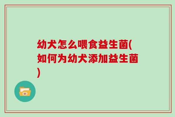 幼犬怎么喂食益生菌(如何为幼犬添加益生菌)