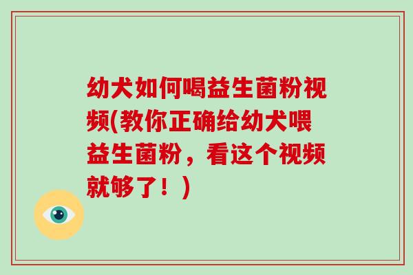 幼犬如何喝益生菌粉视频(教你正确给幼犬喂益生菌粉，看这个视频就够了！)
