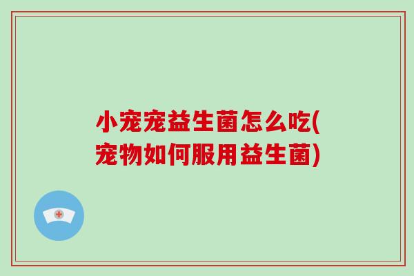 小宠宠益生菌怎么吃(宠物如何服用益生菌)
