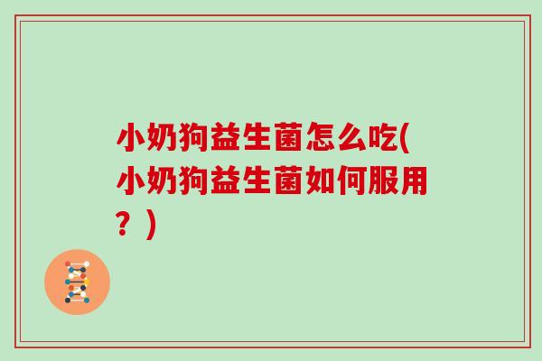 小奶狗益生菌怎么吃(小奶狗益生菌如何服用？)